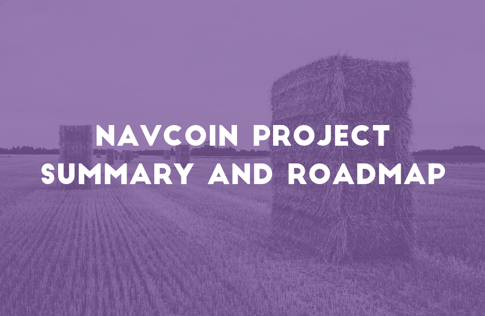 NavCoin Project Summary & Roadmap