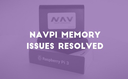 NavPi memory issues resolved