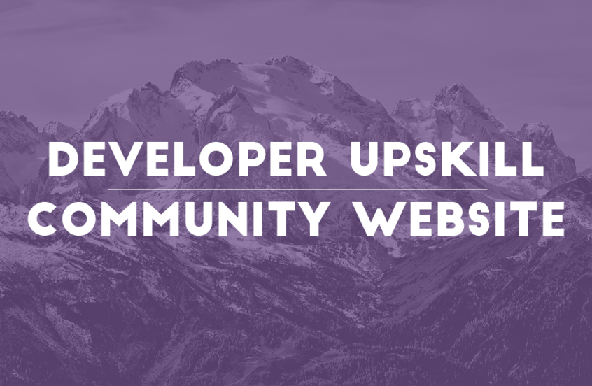 Community Website, And Developer Upskilling